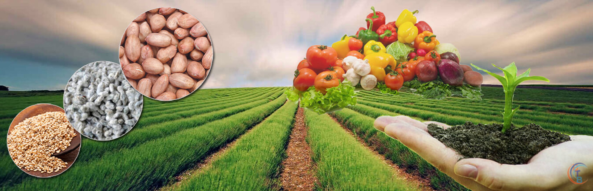 Agriculture