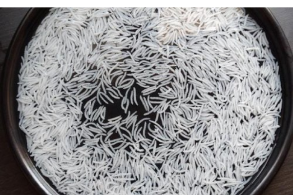 Emulsion Paints